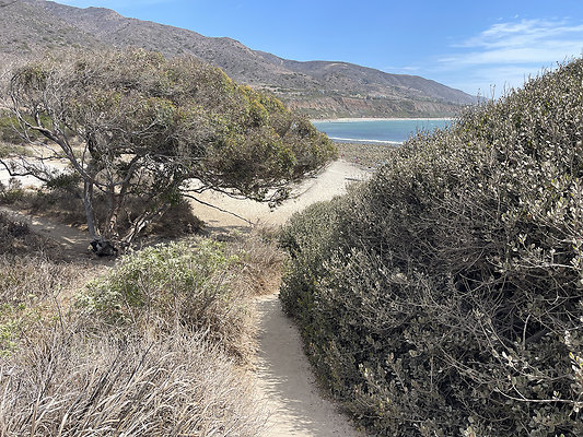 Leo Carillo State Beach bet Towers 1 and 2 Sep 25