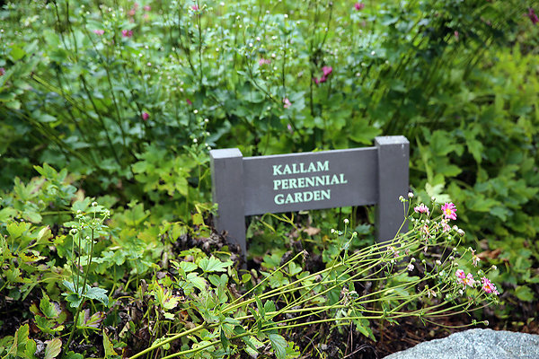 Kallam Perennial Garden