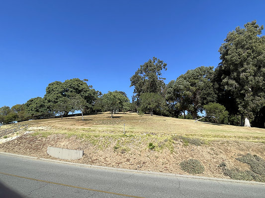 Elysian Park Buena Vista Hill Casanova Terrace Nov 23