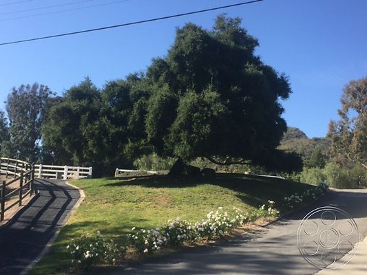 modern-farmhouse-5-92 modern-farmhouse-5-92