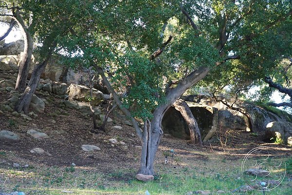 modern-farmhouse-5-95 modern-farmhouse-5-95