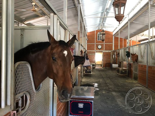 modern-farmhouse-5-79 modern-farmhouse-5-79