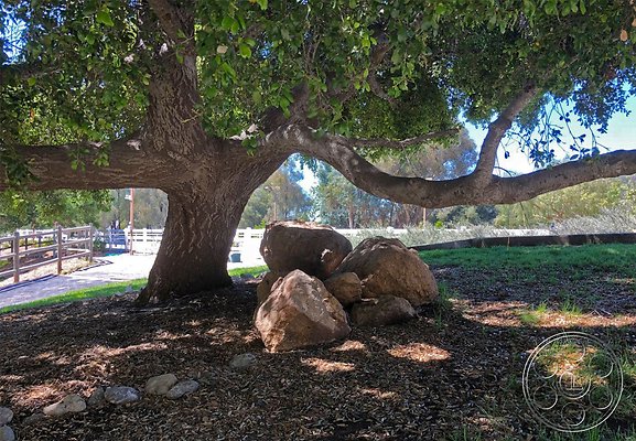 modern-farmhouse-5-93 modern-farmhouse-5-93