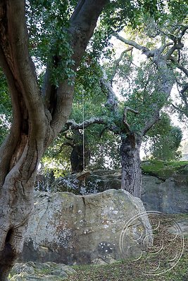 modern-farmhouse-5-94 modern-farmhouse-5-94