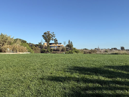 36177987-19E7-44E6-8053-B2B0FD902C9DIMG 6160