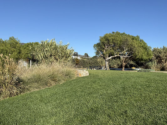 A13ACFA2-754C-4E76-B82C-21A2A2C312A4IMG 6159