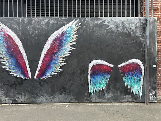 Photo Nov 12 2025, 12 07 06 PM