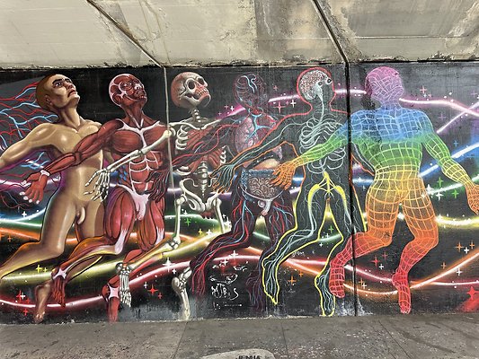 Photo Nov 12 2025, 12 48 32 PM