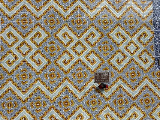 Photo Nov 12 2025, 12 33 20 PM