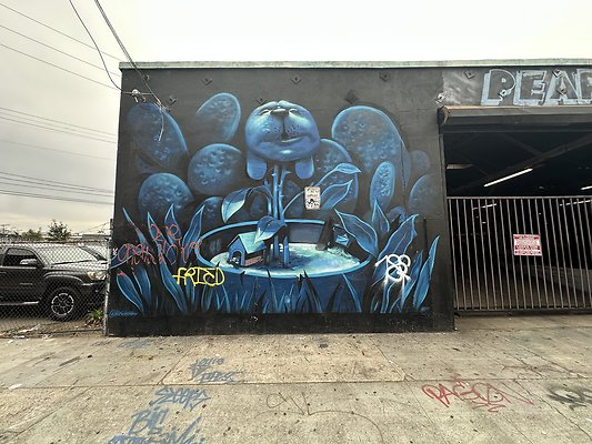 Photo Nov 12 2025, 2 16 48 PM