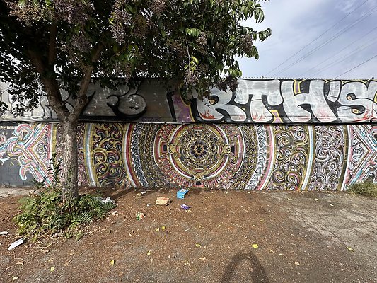 Photo Nov 12 2025, 12 19 39 PM