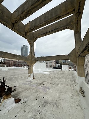 Photo Nov 12 2025, 2 42 40 PM