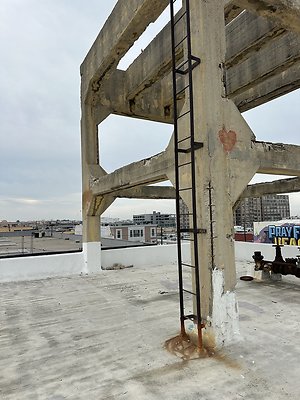 Photo Nov 12 2025, 2 41 11 PM