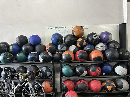 Photo Nov 12 2025, 11 29 57 AM