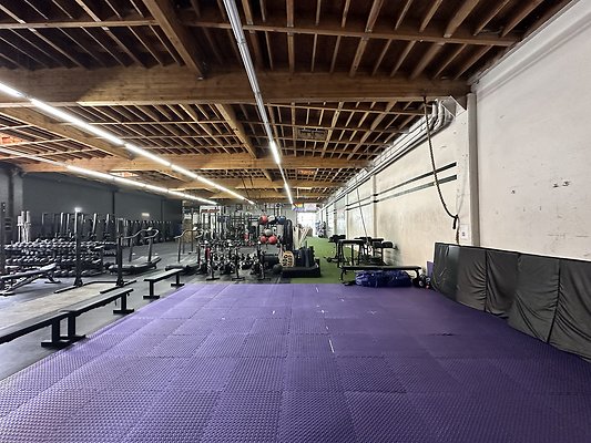 Photo Nov 12 2025, 11 36 53 AM