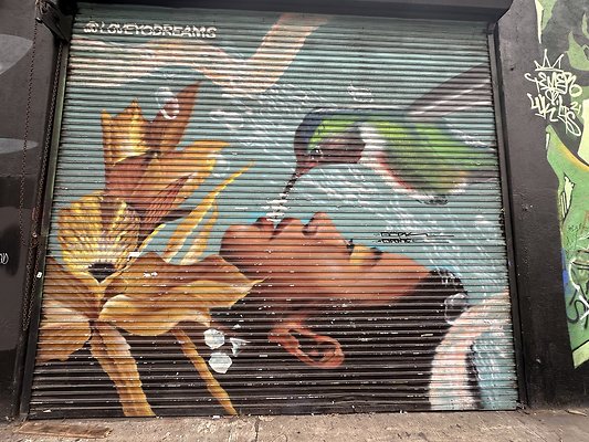 Photo Nov 12 2025, 2 16 41 PM