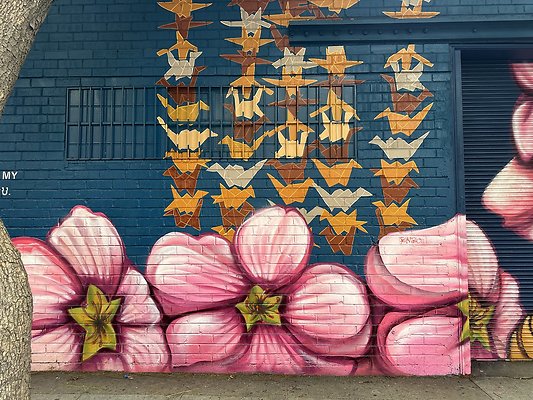 Photo Nov 12 2025, 12 45 16 PM