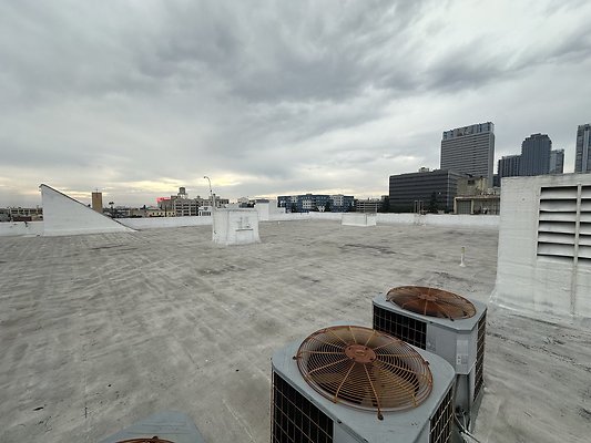 Photo Nov 12 2025, 2 48 09 PM