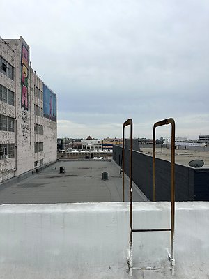 Photo Nov 12 2025, 2 39 42 PM