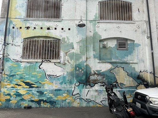 Photo Nov 12 2025, 12 41 44 PM