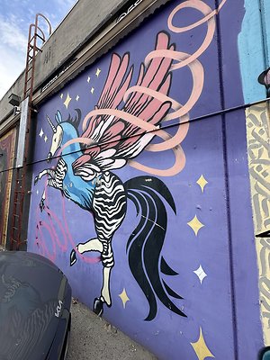 Photo Nov 12 2025, 11 48 11 AM