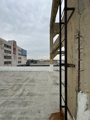 Photo Nov 12 2025, 2 47 36 PM