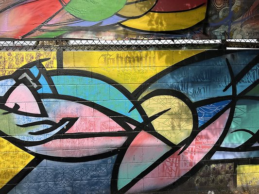 Photo Nov 12 2025, 12 19 24 PM