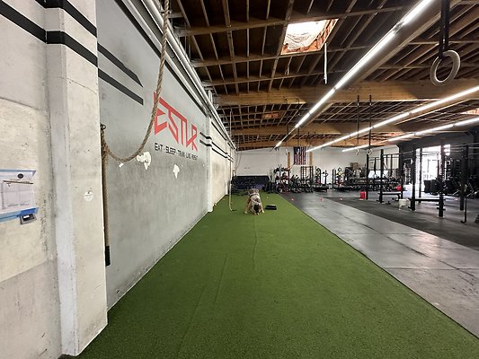 Photo Nov 12 2025, 11 30 51 AM