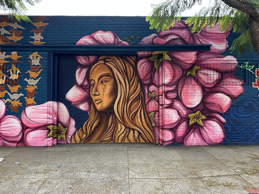 Photo Nov 12 2025, 12 45 23 PM