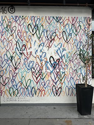 Photo Nov 12 2025, 12 38 41 PM