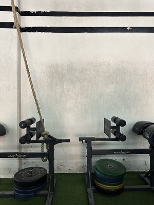 Photo Nov 12 2025, 11 34 13 AM