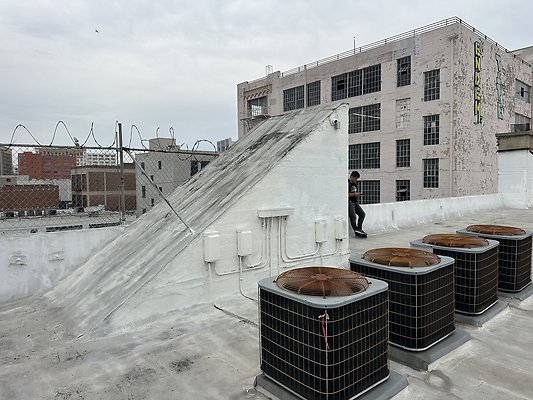 Photo Nov 12 2025, 2 46 22 PM