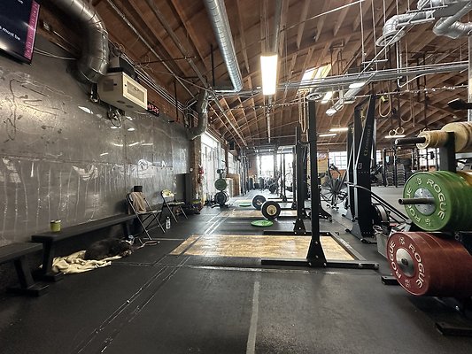 Photo Nov 12 2025, 10 19 55 AM