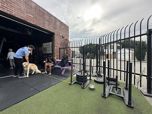 Photo Nov 12 2025, 10 13 20 AM