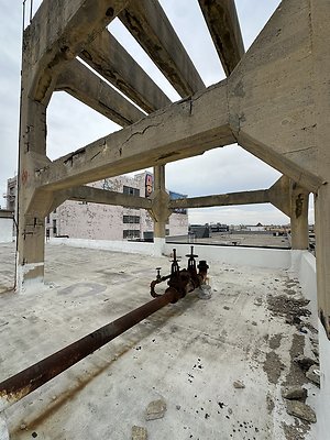 Photo Nov 12 2025, 2 41 59 PM