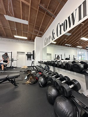 Photo Nov 12 2025, 10 42 22 AM