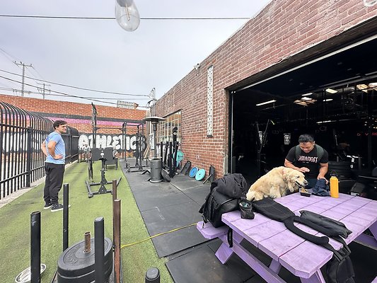 Photo Nov 12 2025, 10 12 41 AM