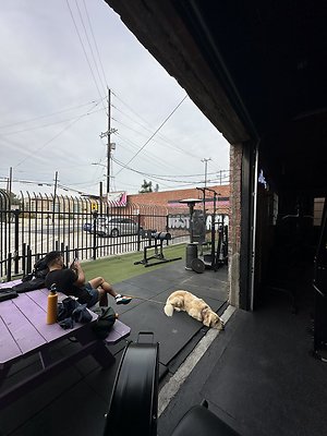 Photo Nov 12 2025, 10 22 06 AM