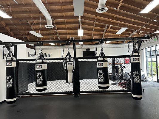 Photo Nov 12 2025, 10 42 57 AM