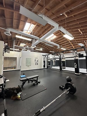 Photo Nov 12 2025, 10 42 48 AM