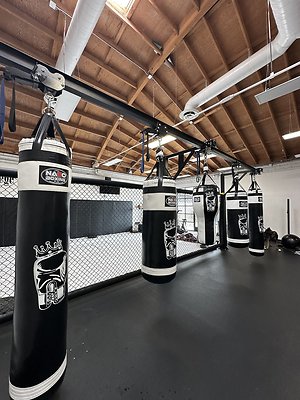 Photo Nov 12 2025, 10 40 13 AM