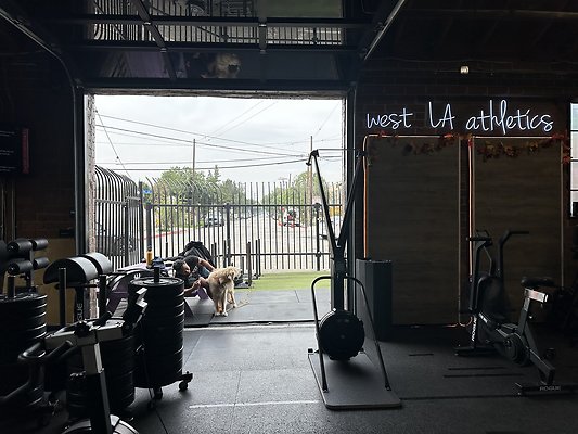 Photo Nov 12 2025, 10 15 21 AM