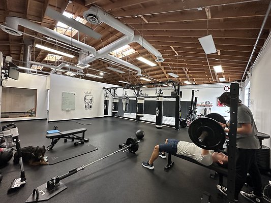 Photo Nov 12 2025, 10 42 40 AM