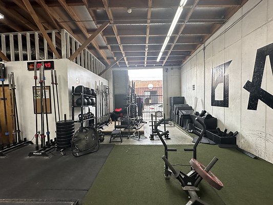 Photo Nov 12 2025, 1 09 00 PM