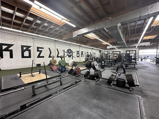 Photo Nov 12 2025, 1 08 00 PM