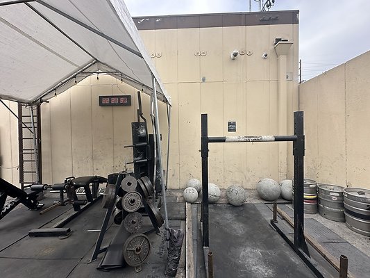 Photo Nov 12 2025, 1 17 22 PM