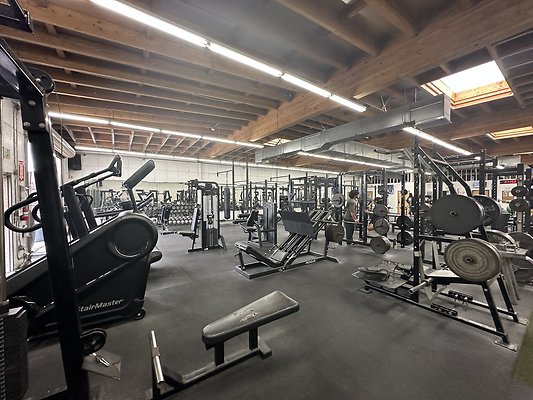 Photo Nov 12 2025, 1 12 04 PM