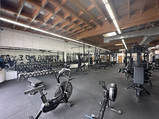 Photo Nov 12 2025, 1 12 42 PM