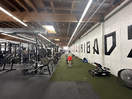 Photo Nov 12 2025, 1 12 24 PM