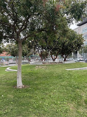 Photo Nov 12 2025, 2 09 03 PM Photo Nov 12 2025, 2 09 03 PM